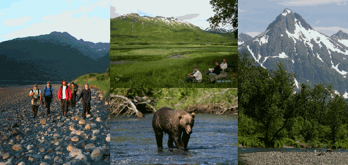 Collage of photos showing viewing excursions